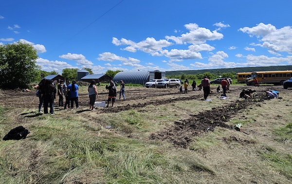a group of people planting trees